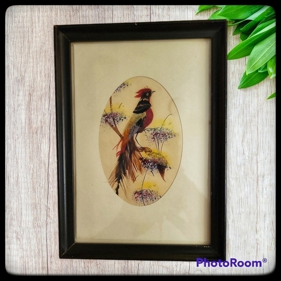 VTG Mexican Watercolor Tropical Feather Bird Framed Art - Picture 1 of 5